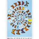 Wildlife Friendly Tea Towel Bundle