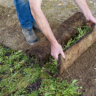 Native Enriched Wildflower Turf®