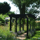 Shade Tolerant Wildflower Turf®