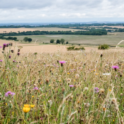 Barbury Castle