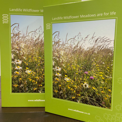 Traditional Meadow Wildflower Jigsaw Puzzle